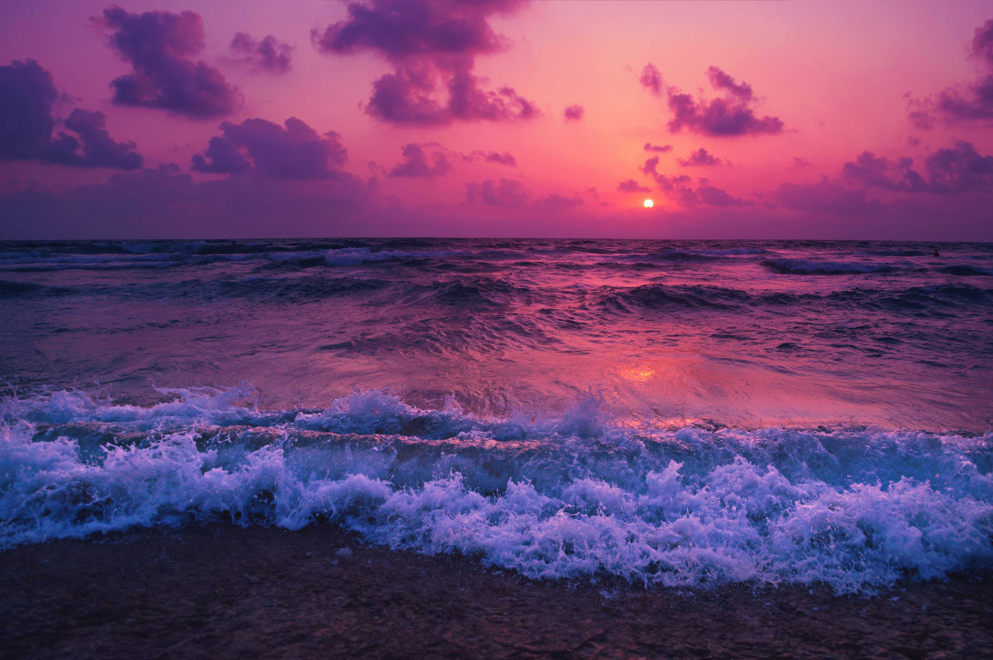 Banner image 2